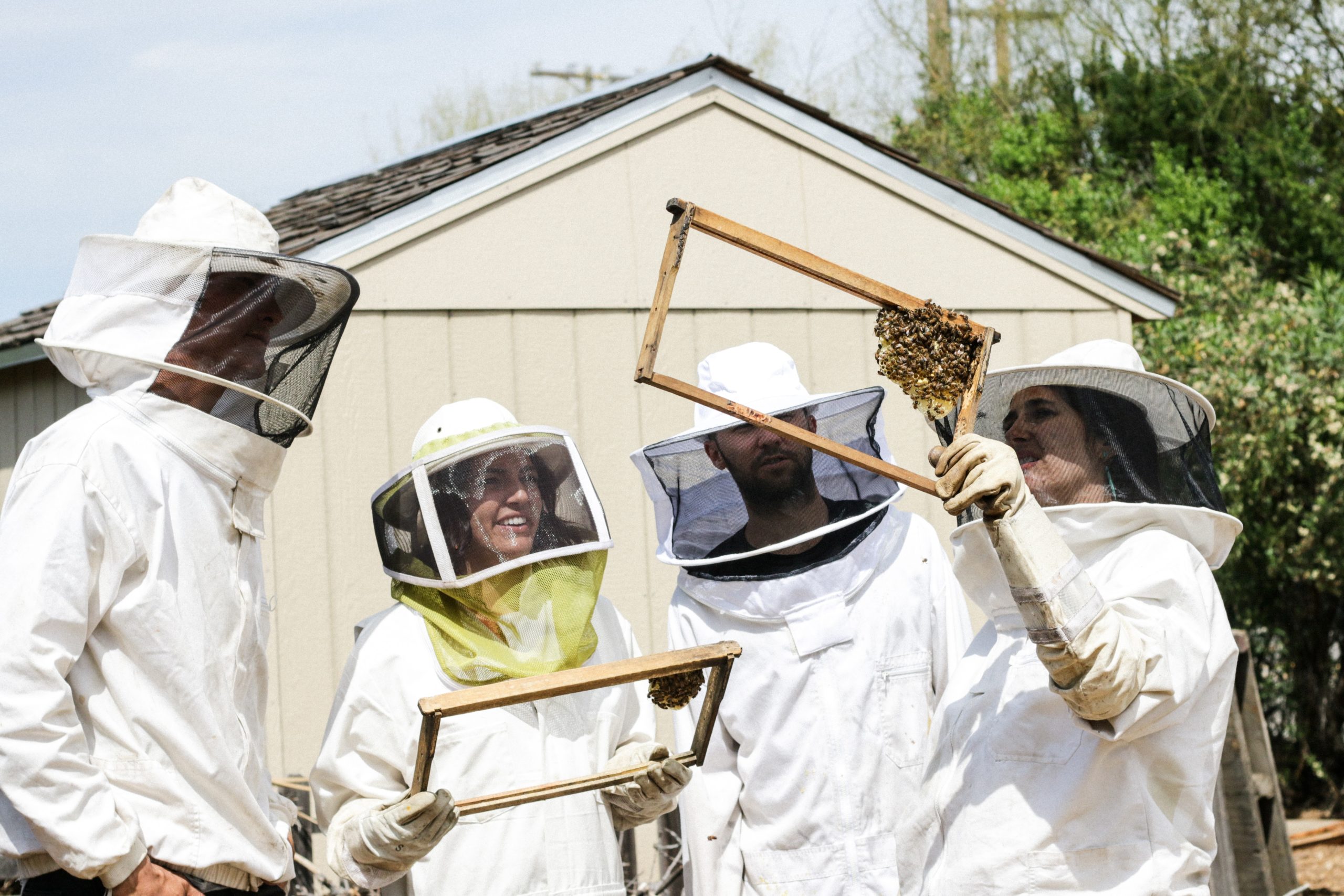 Connecticut Beekeepers Association