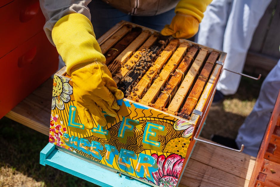 Connecticut Beekeepers Association