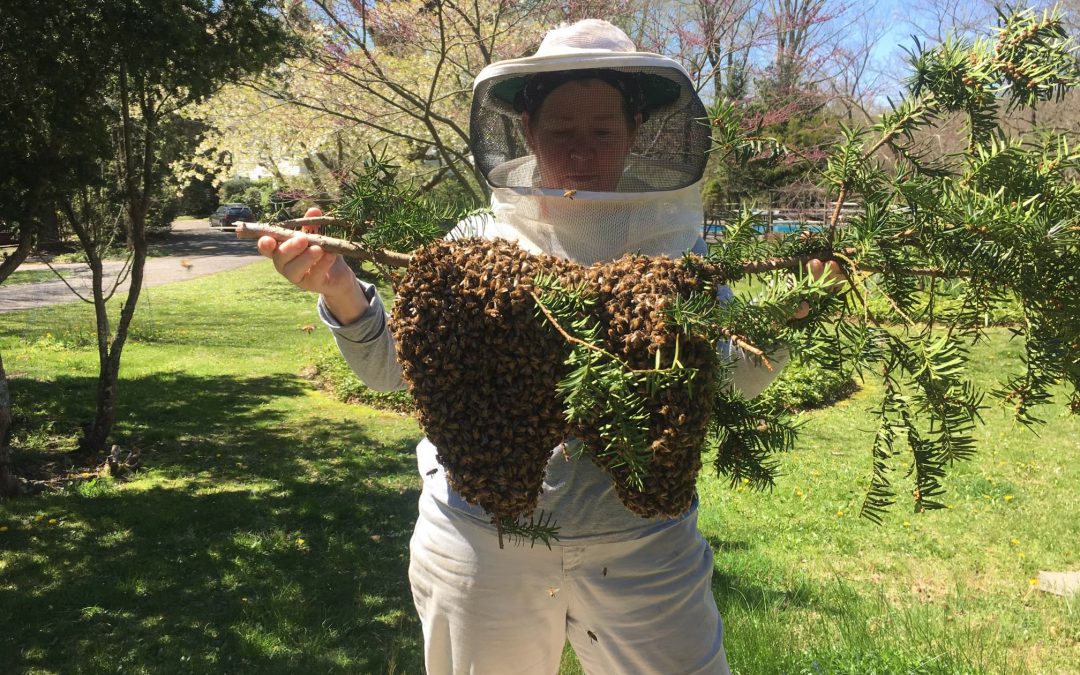 Interview With A Beekeeper – Patricia Pulliam & Serge Boyce